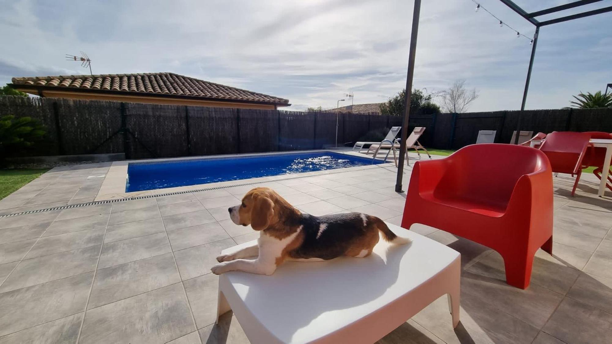 Villas Medes Mar - Plus Costa Brava L'Estartit Εξωτερικό φωτογραφία