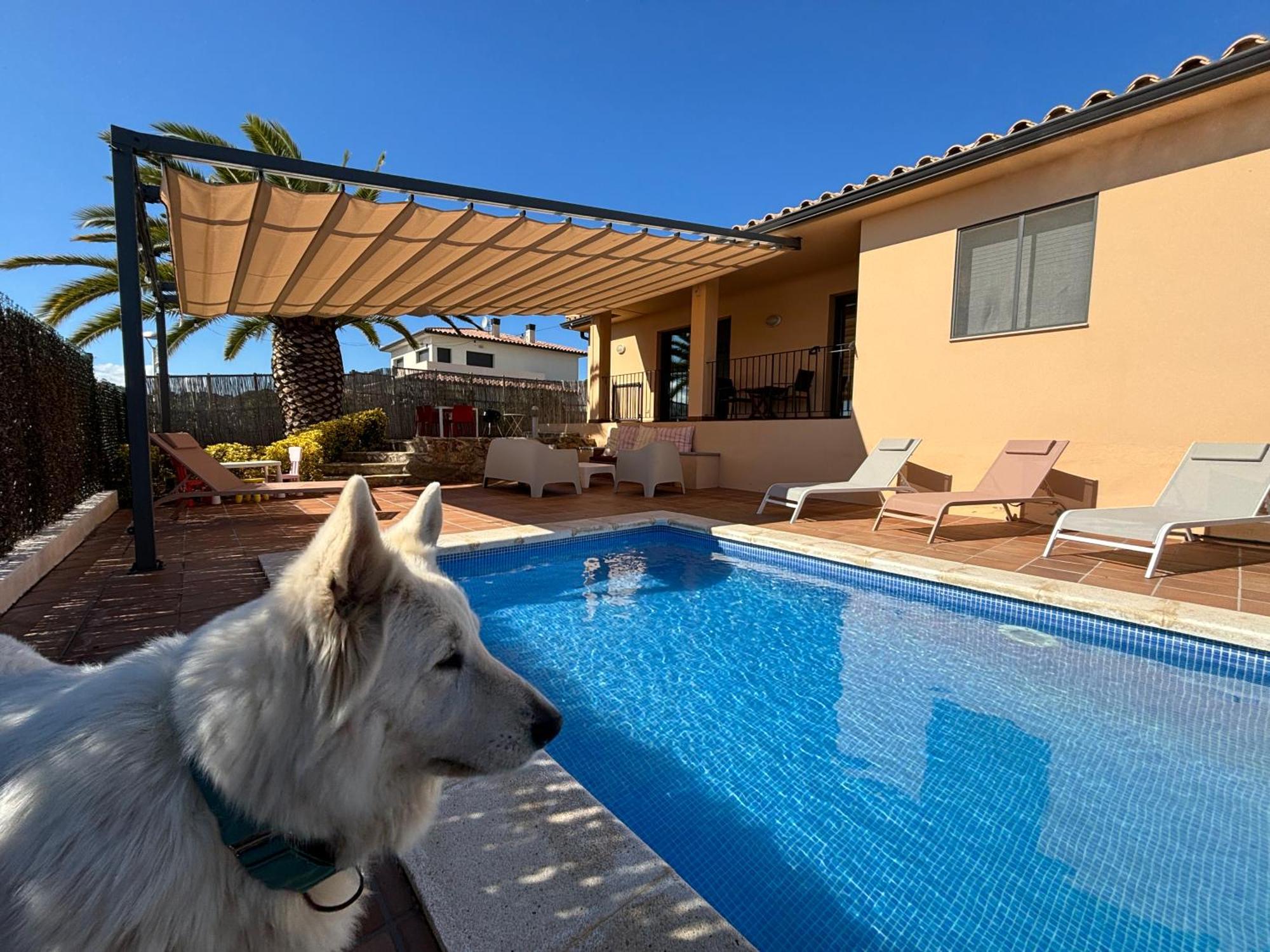 Villas Medes Mar - Plus Costa Brava L'Estartit Εξωτερικό φωτογραφία